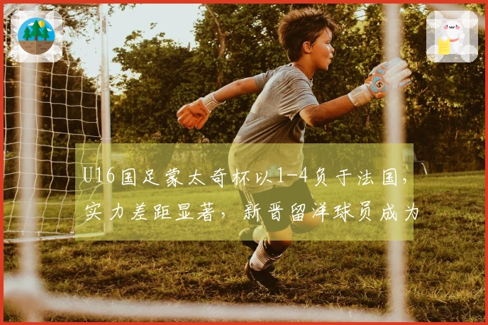 U16国足蒙太奇杯以1-4负于法国，实力差距显著，新晋留洋球员成为唯一亮点